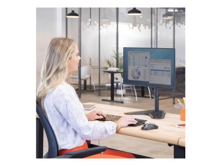 Fellowes Bras support pour écran Seasa avec socle, noir