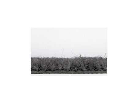 miltex Tapis anti-salissure EAZYCARE BASIC, gris foncé