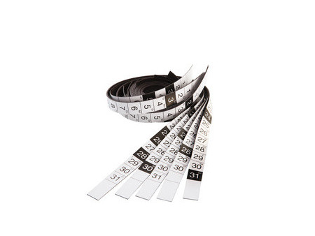 magnetoplan Planning annuel, (L)1200 x (H)900 mm, magnétique