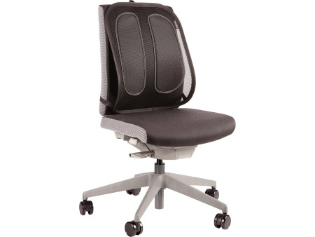 Fellowes Support dorsal en maille Office Suites, noir