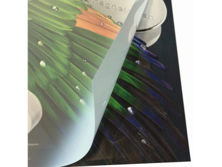 magnetoplan Kit film de rechange pour chevalet publicitaire
