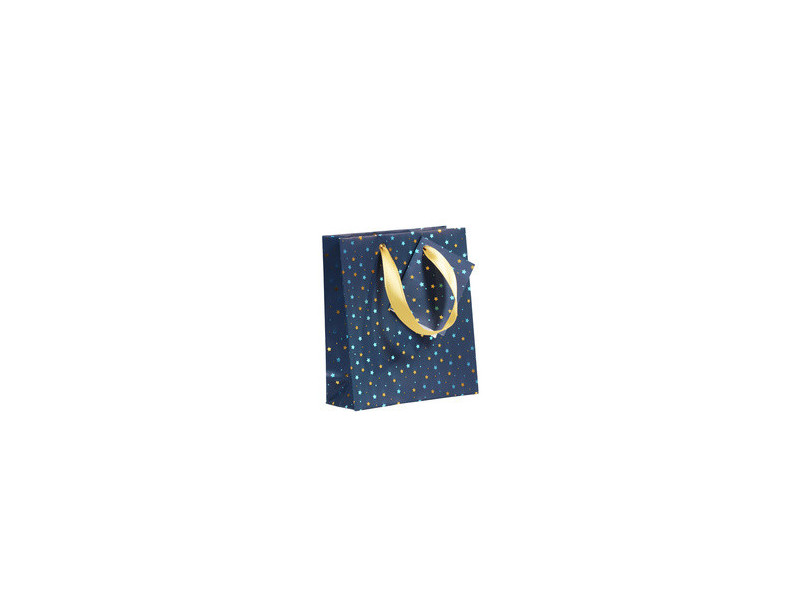 Clairefontaine Sachet cadeau de Noël 'Nuit bleutée', petit