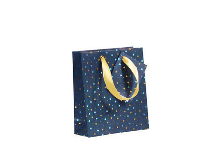 Clairefontaine Sachet cadeau de Noël 'Nuit bleutée',shopping