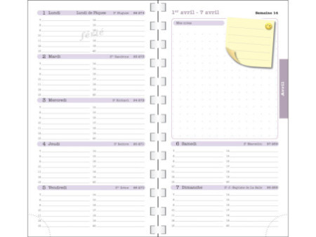 EXACOMPTA Agenda de poche 'Lady 16S', 2026, Ondine assorti