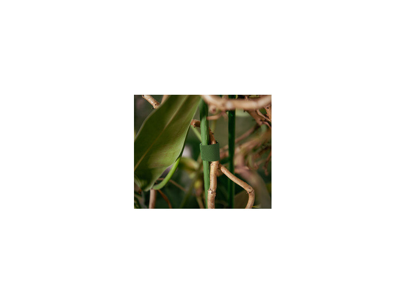 Bradas Ruban auto-agrippant, 25 mm x 5 m, vert