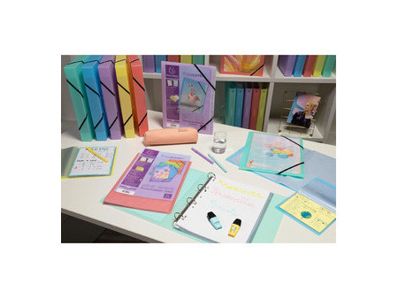 EXACOMPTA Protège-documents, A4, PP, 20 pochettes, assorti