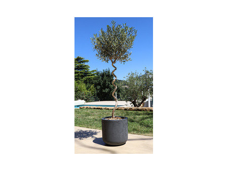 EDA Bac à plantes BASALT UP, rond, 485 mm, vert amande