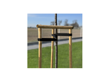 Bradas Bande de ligature pour arbres, PP, 30 mm x 50 m, noir