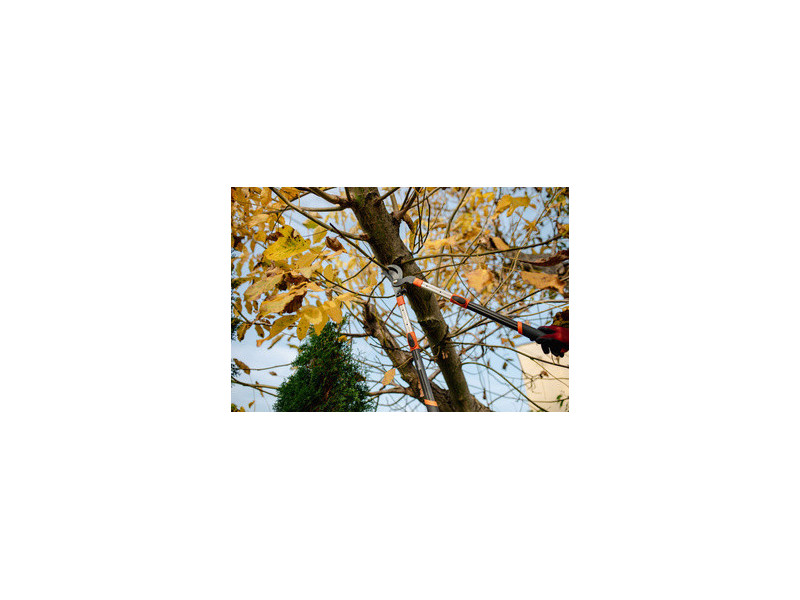 Bradas Coupe-branches Bypass V-SERIES, télescopique