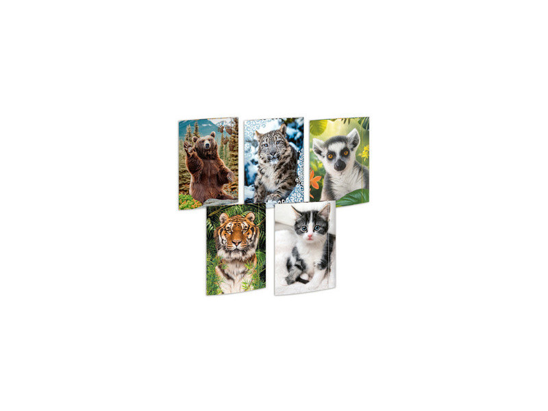 RNK Verlag Carton à dessin 'Animaux', A3 - assortiment