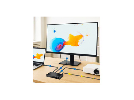 LogiLink Répartiteur HDMI 4K/60 Hz, Downscaler, 2 ports