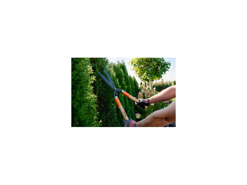 Bradas Cisaille taille-haie V-SERIES WOOD, lame 200 mm
