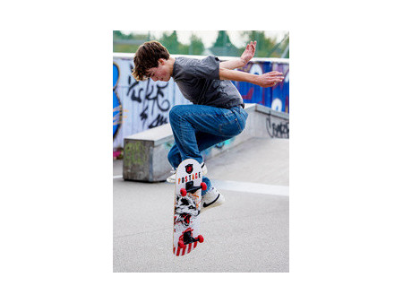SCHILDKRÖT Skateboard 'Grinder 31' Wolf
