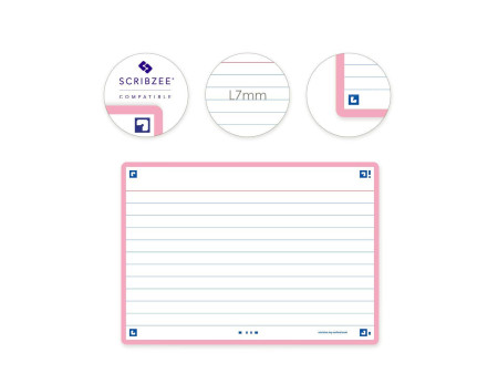 Oxford Fiches 'Flash 2.0', 105 x 148 mm, rose