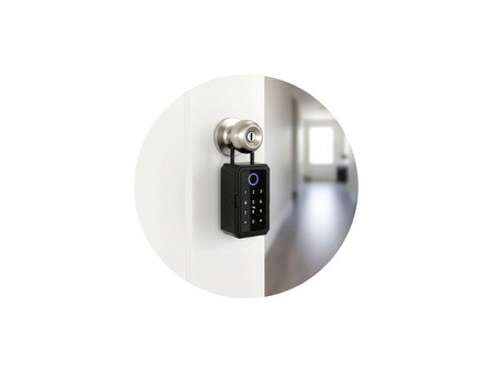 pavo Mini-coffre à clé Advanced, pour 1 clé, noir