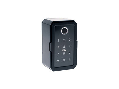 pavo Mini-coffre à clé Advanced, pour 1 clé, noir
