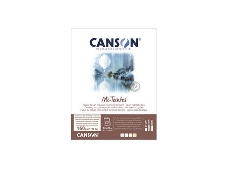 CANSON Papier beaux-arts Mi-Teintes, en bloc, 240 x 320 mm