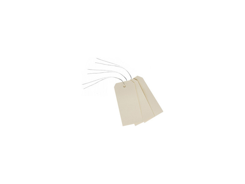 AVERY Etiquettes américaines, 120 x 60 mm, avec fil de fer