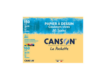 CANSON Papier dessin Mi-Teintes, 240 x 320 mm, assorti
