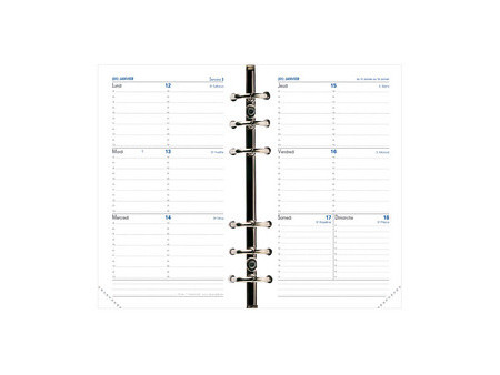 QUO VADIS Recharge Timer 17 Horizontal 2025/2026, 16 mois