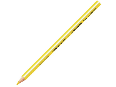 STABILO Crayon de couleur Trio long, corps large, étui de 24