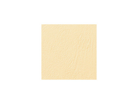 GBC Couverture de reliure grain cuir, A4, rouge foncé