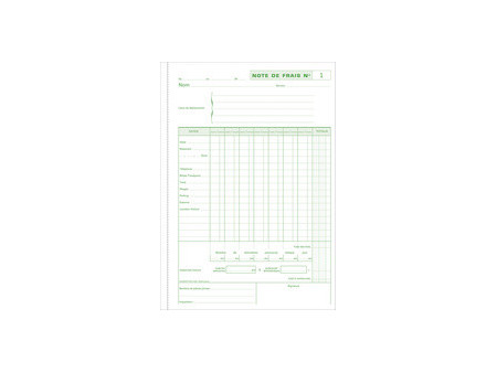 EXACOMPTA Manifold 'Notes de Frais', 297 x 210 mm vertical