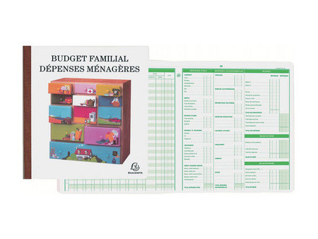 EXACOMPTA Piqûre 'Budget dépenses ménagères', 270 x 250 mm