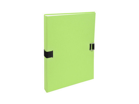 EXACOMPTA Porte-documents Forever, A4, vert clair