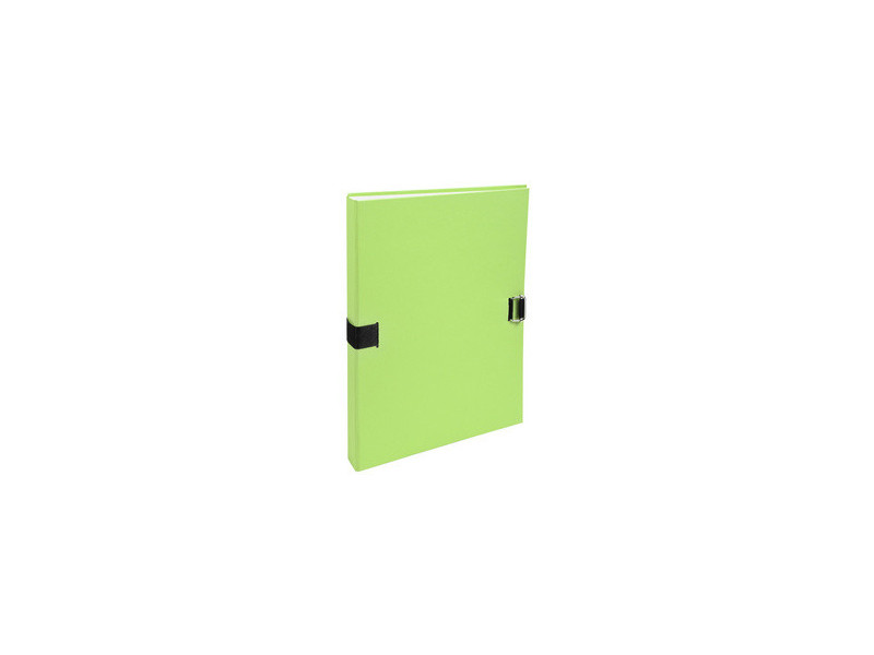 EXACOMPTA Porte-documents Forever, A4, vert clair