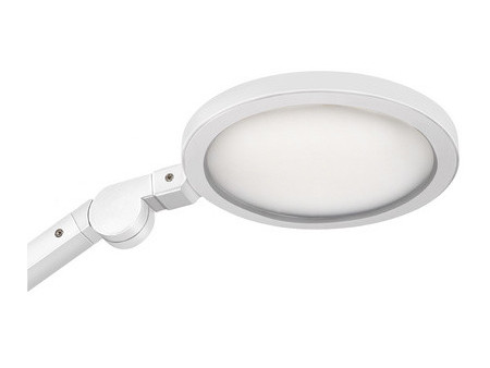 CEP Lampe de bureau LED GIANT Silva, chêne/blanc