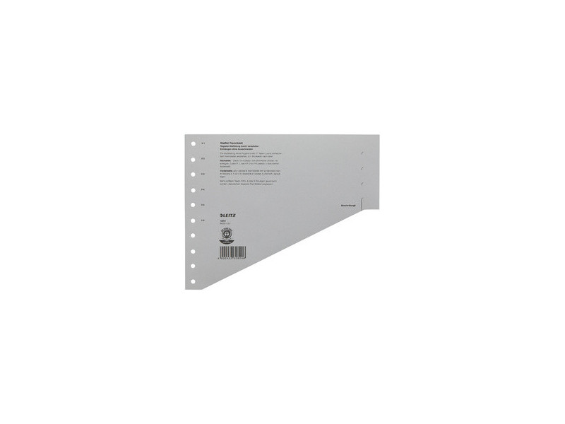 LEITZ Intercalaires-échelon, format A4 extra large, gris