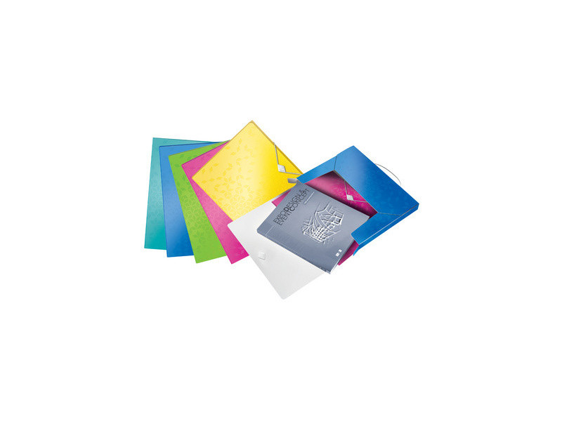 LEITZ Boîte de rangement WOW, A4, PP, assorti
