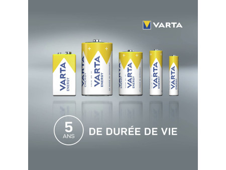 VARTA Pile alcaline 'ENERGY', Micro (AAA/LR3)
