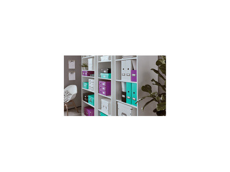 LEITZ Bloc de classement Click & Store WOW, 4 tiroirs, vert