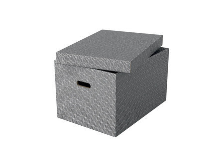 Esselte Boîte de rangement Home M, set de 3, gris