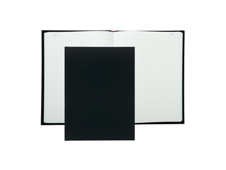 EXACOMPTA Registre Quadrillé 5x5, 320 x 250 mm vertical
