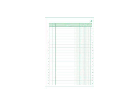 EXACOMPTA Manifold 'Recettes et Dépenses', 297 x 210 mm