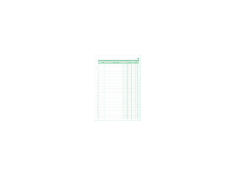 EXACOMPTA Manifold 'Recettes et Dépenses', 297 x 210 mm
