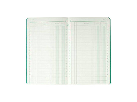 EXACOMPTA Piqûre 'Recettes et dépenses', 210 x 190 mm