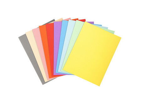 EXACOMPTA Chemises FOREVER 250, A4, assorti