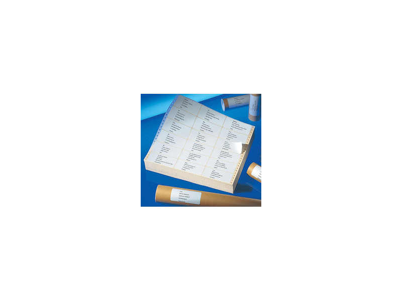 AVERY Etiquette matricielle pour ordinateur, 125 x 48,8 mm