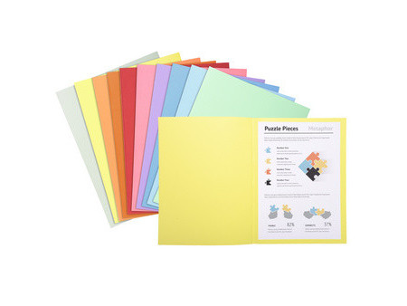 EXACOMPTA Chemises SUPER 250, A4, rose