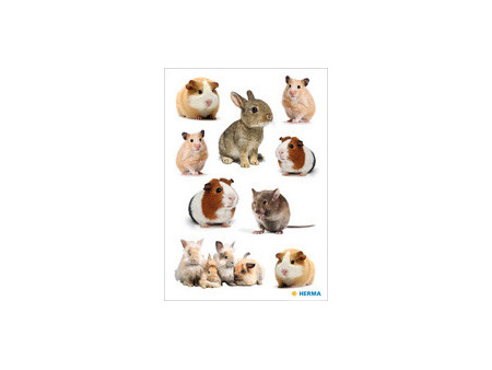 HERMA Sticker MAGIC Famille de rongeurs, papier