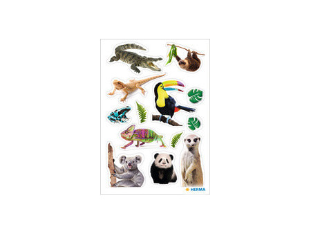 HERMA Sticker MAGIC Suricates, papier