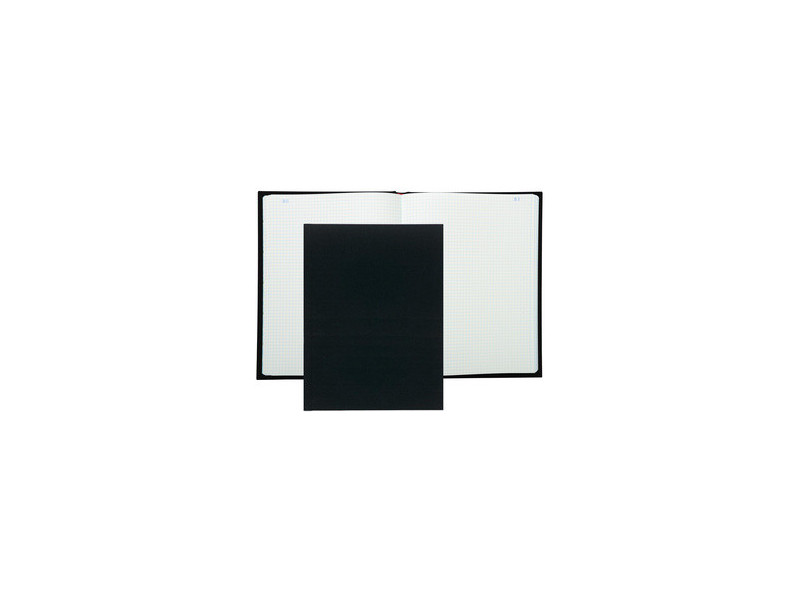 EXACOMPTA Registre Quadrillé 5x5, 320 x 250 mm vertical
