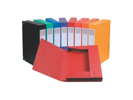 EXACOMPTA Boîte de classement Cartobox, A4, 60 mm, assorti