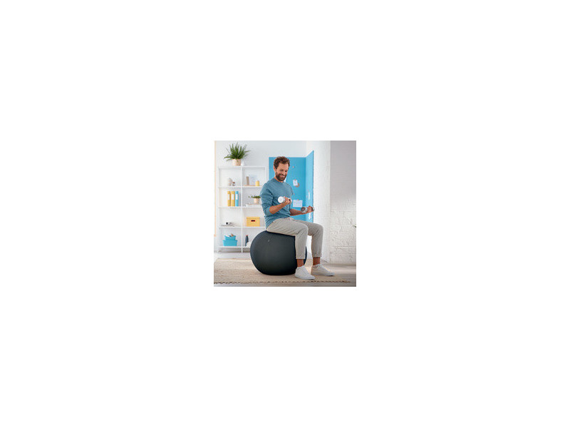 LEITZ Ballon d'assise Ergo Cosy, diamètre: 650 mm, jaune
