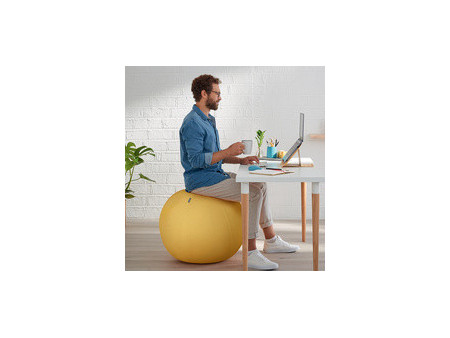 LEITZ Ballon d'assise Ergo Cosy, diamètre: 650 mm, jaune