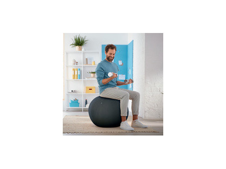 LEITZ Ballon d'assise Ergo Cosy, diamètre: 650 mm, gris